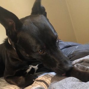 Meet your Posher, Jamie